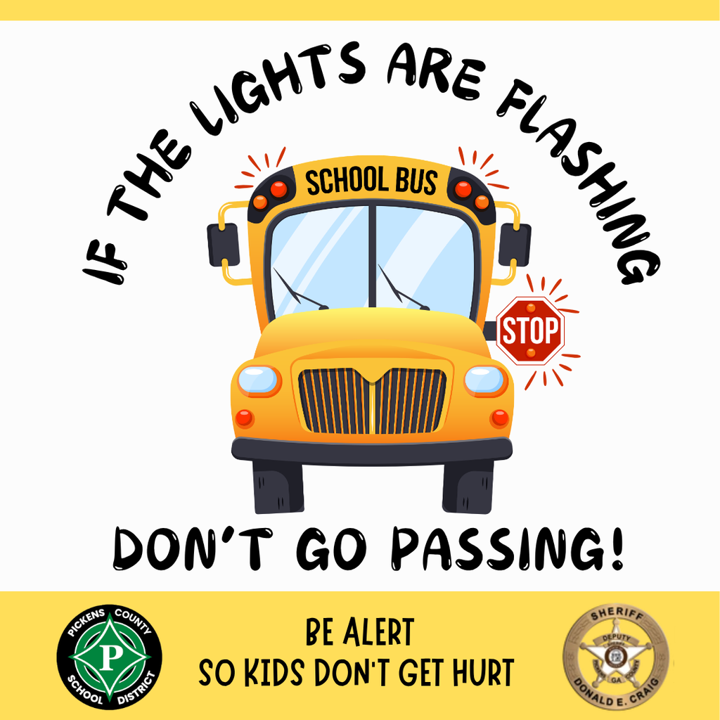 If the Lights are flashing, don't go passing! Be alert for school buses.