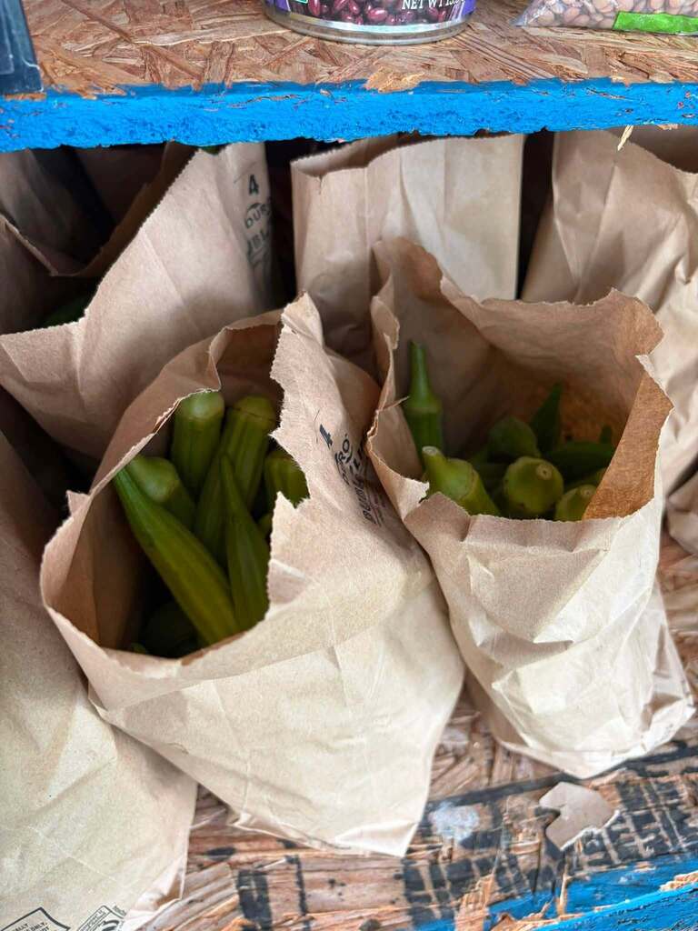 Hill City's garden has okra ready to share! It will be placed in the Free Food Pantry Box daily and restocked until it's gone.