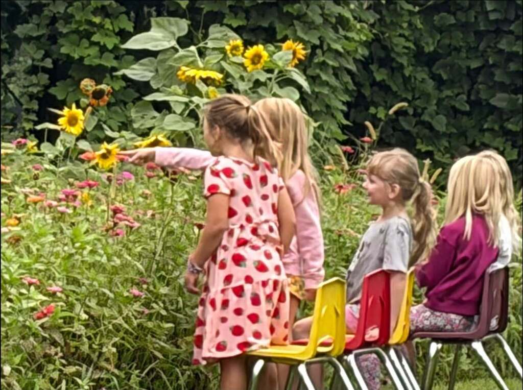 The Hill City garden was buzzing with excitement as Mrs. Chapman’s Agriculture classes participated in the 2026 Great Southeast Pollinator Census! Students spent the week counting pollinators.