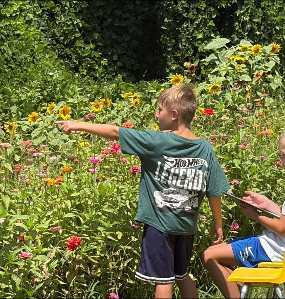 The Hill City garden was buzzing with excitement as Mrs. Chapman’s Agriculture classes participated in the 2026 Great Southeast Pollinator Census! Students spent the week counting pollinators.