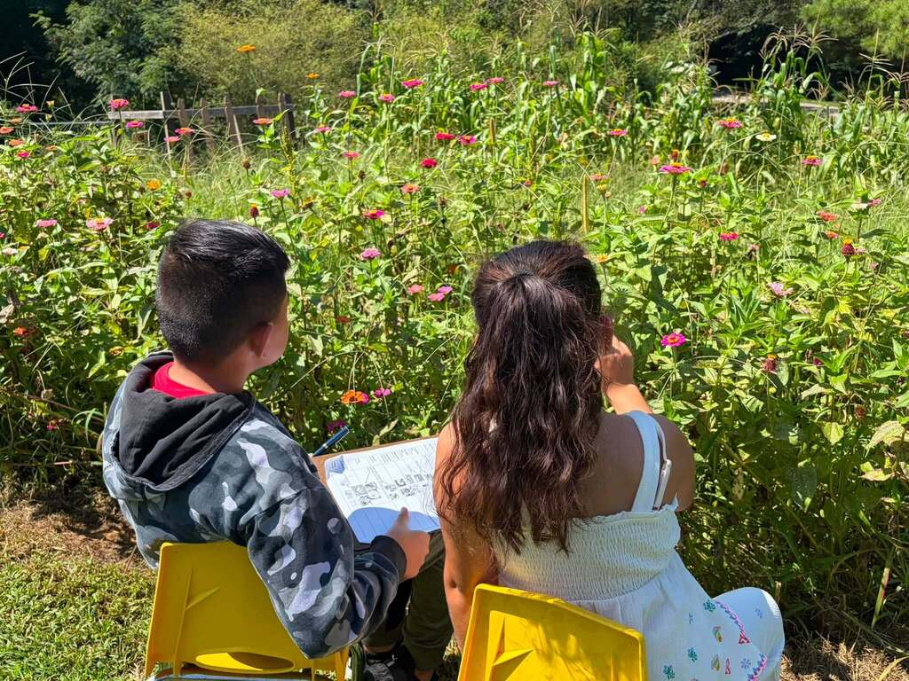 The Hill City garden was buzzing with excitement as Mrs. Chapman’s Agriculture classes participated in the 2026 Great Southeast Pollinator Census! Students spent the week counting pollinators.