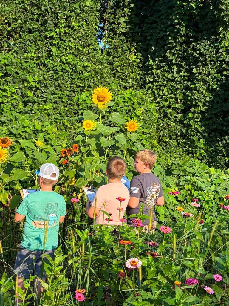The Hill City garden was buzzing with excitement as Mrs. Chapman’s Agriculture classes participated in the 2026 Great Southeast Pollinator Census! Students spent the week counting pollinators.