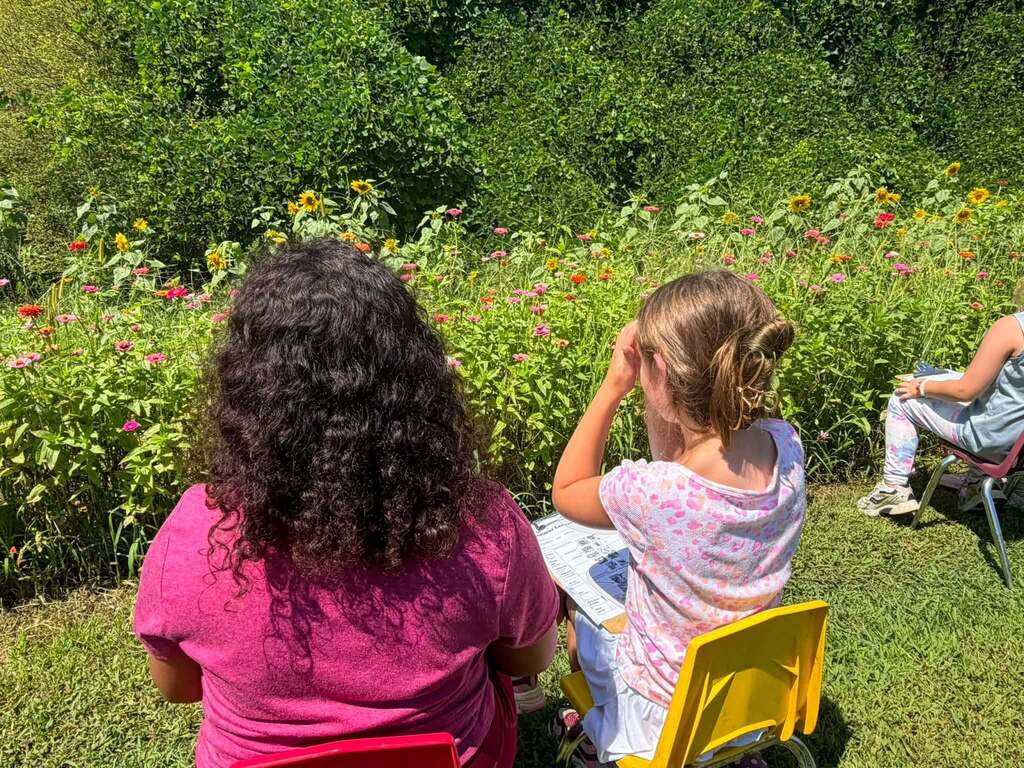 The Hill City garden was buzzing with excitement as Mrs. Chapman’s Agriculture classes participated in the 2026 Great Southeast Pollinator Census! Students spent the week counting pollinators.
