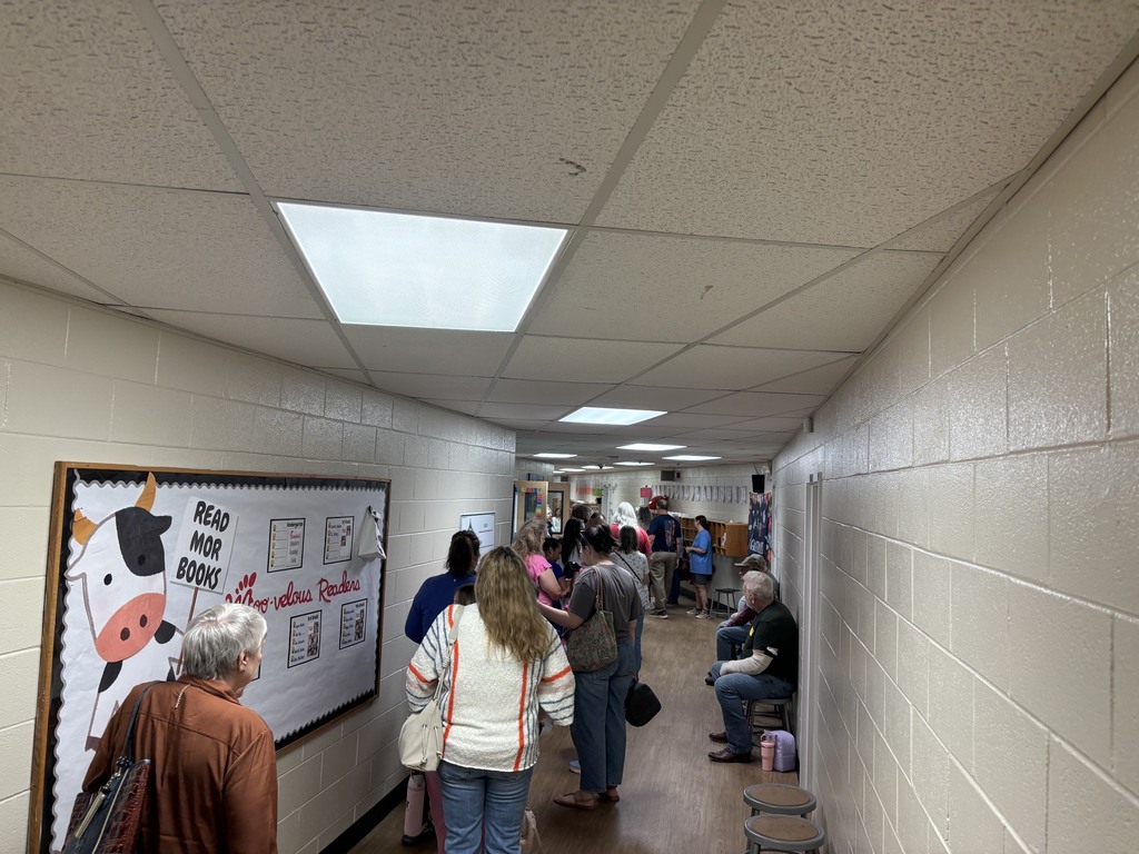People line up in a school hallway beside a wall with a large cartoon cow poster and handwritten signs, looking toward the far end under fluorescent ceiling lights.