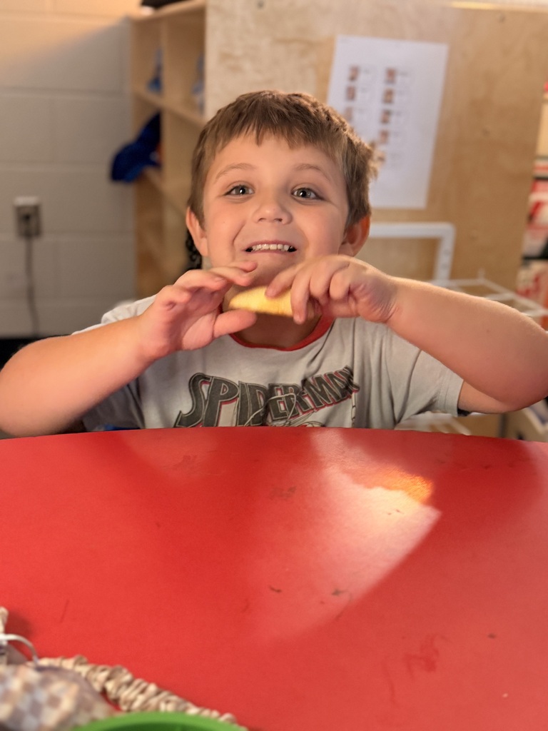 Mrs. Allen’s class put their taste buds to the test! Students sampled three different varieties of apples and created a tally chart to see which one was the class favorite.