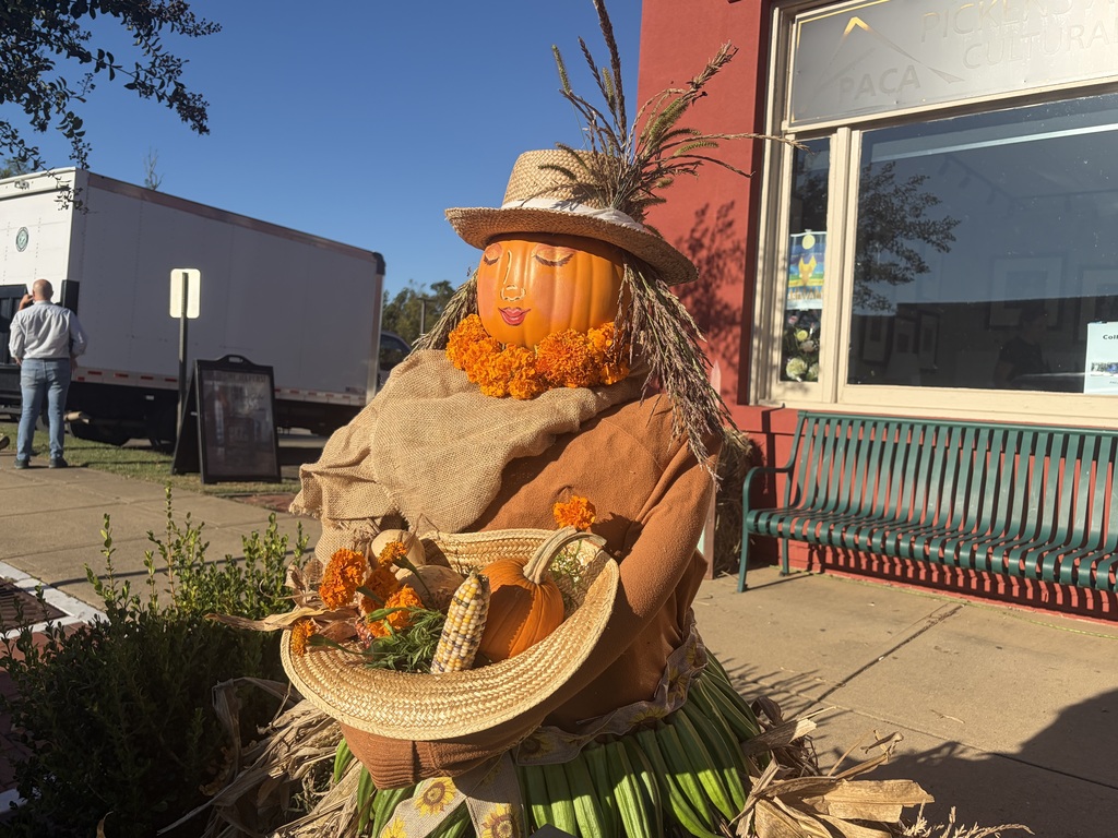 Vote for Hill City's Scarecrow on Main Street! Vote #33!