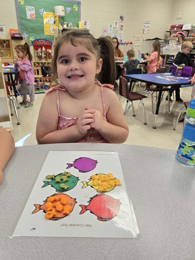 Sorting crackers by color in PreK.