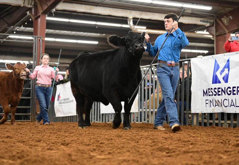 Frisco ISD FFA Leads the Pack at Annual Livestock Show