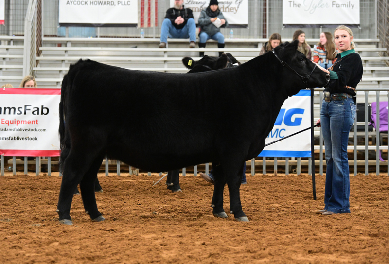 Frisco ISD FFA Leads the Pack at Annual Livestock Show