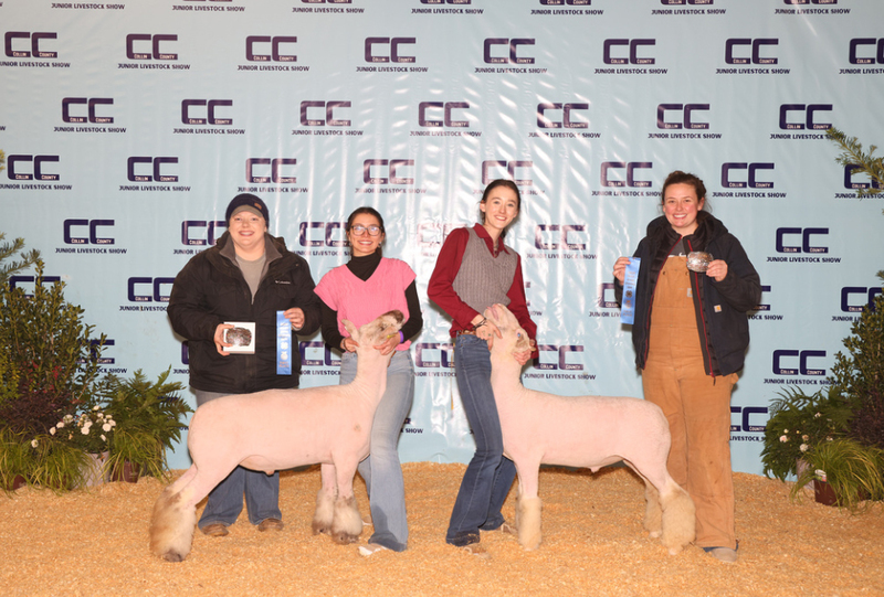 Frisco ISD FFA Leads the Pack at Annual Livestock Show