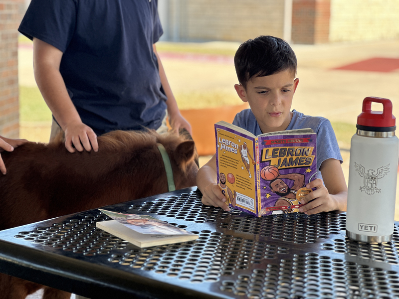 Spears Students Work on Reading Skills With Mini Horses