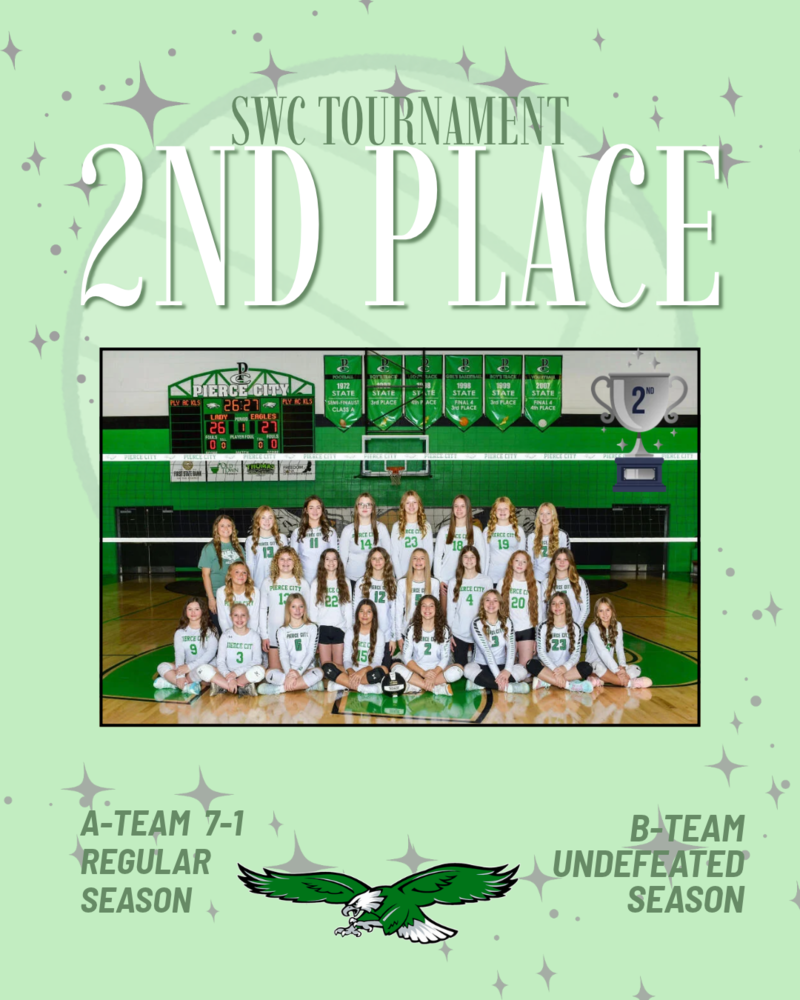 junior high volleyball group picture