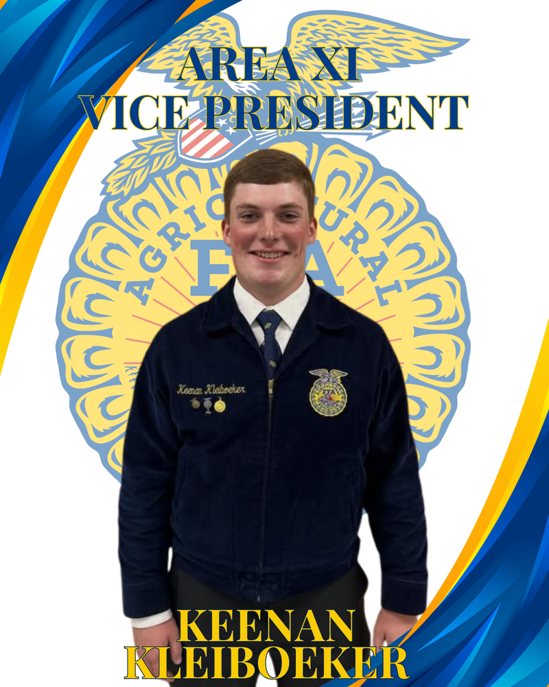 ffa vp
