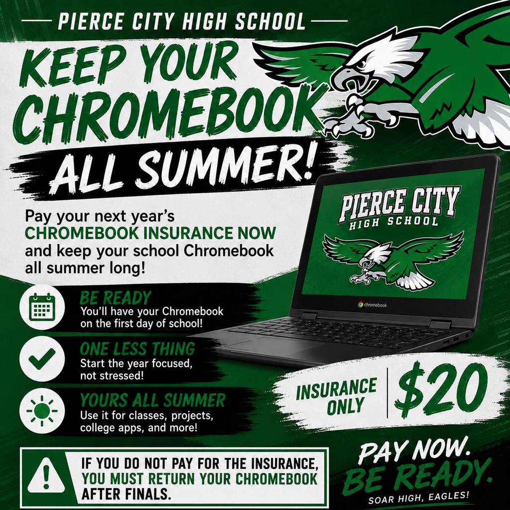 summer chromebooks
