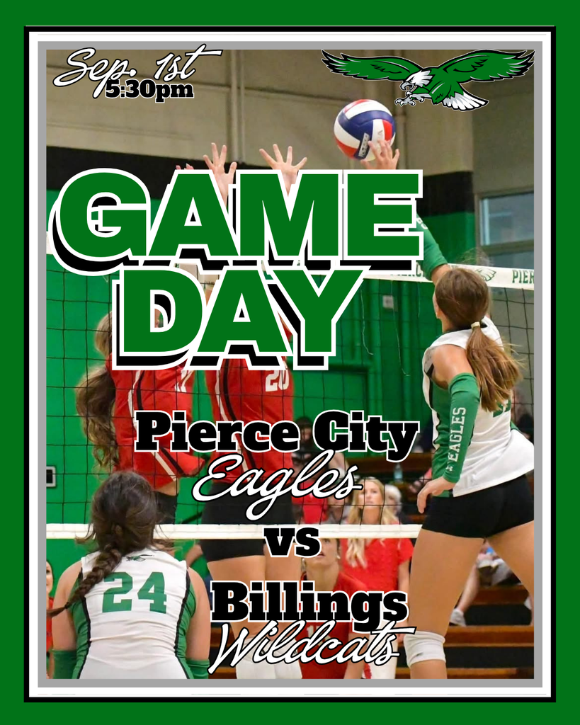 volleyball game day