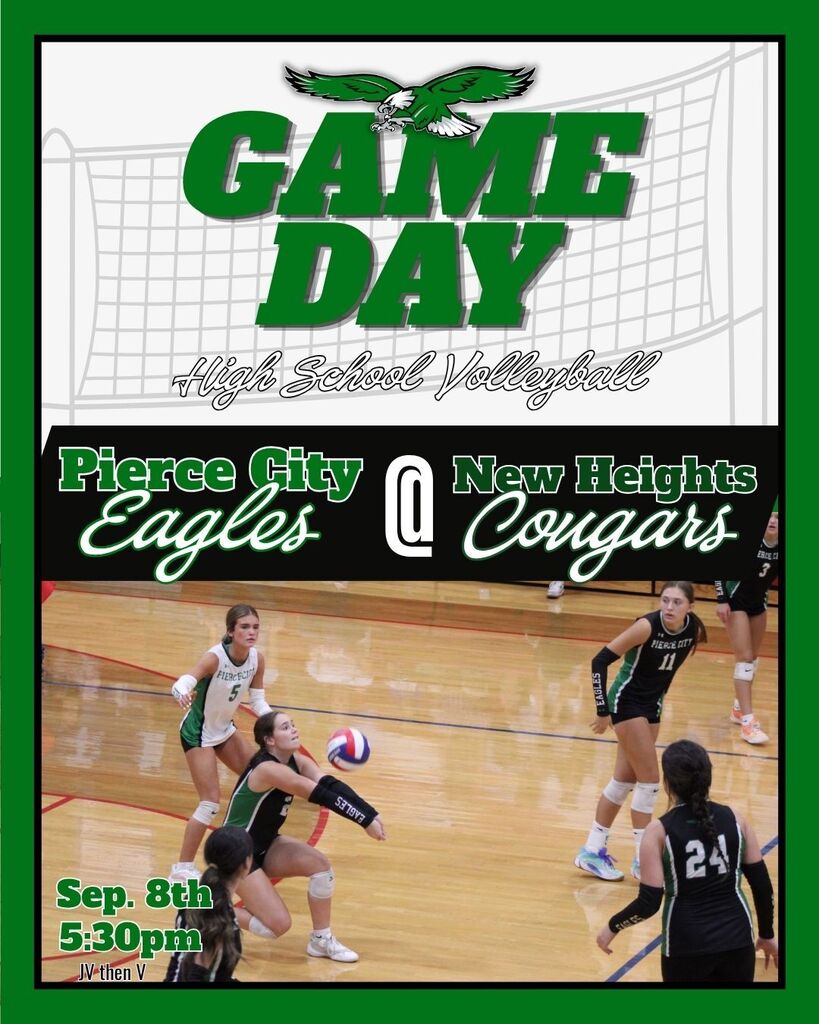 hs volleyball
