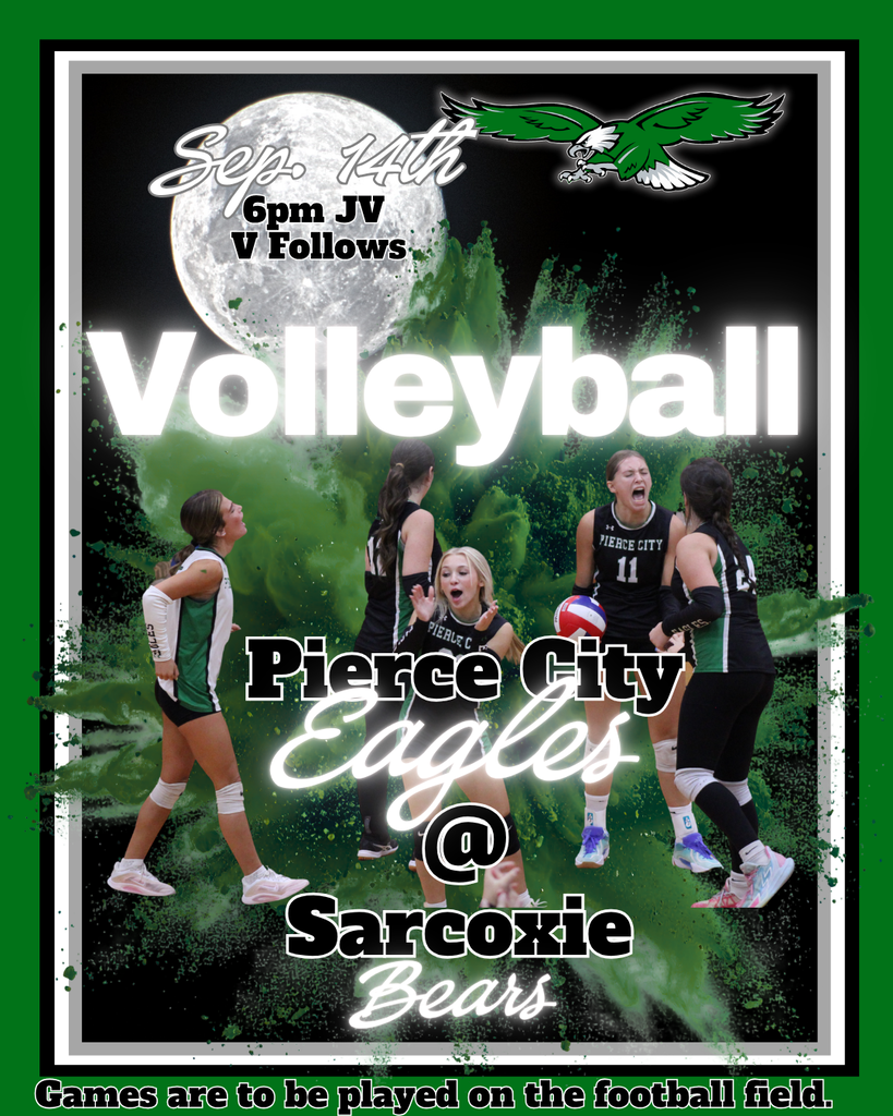 volleyball graphic of the players cheering