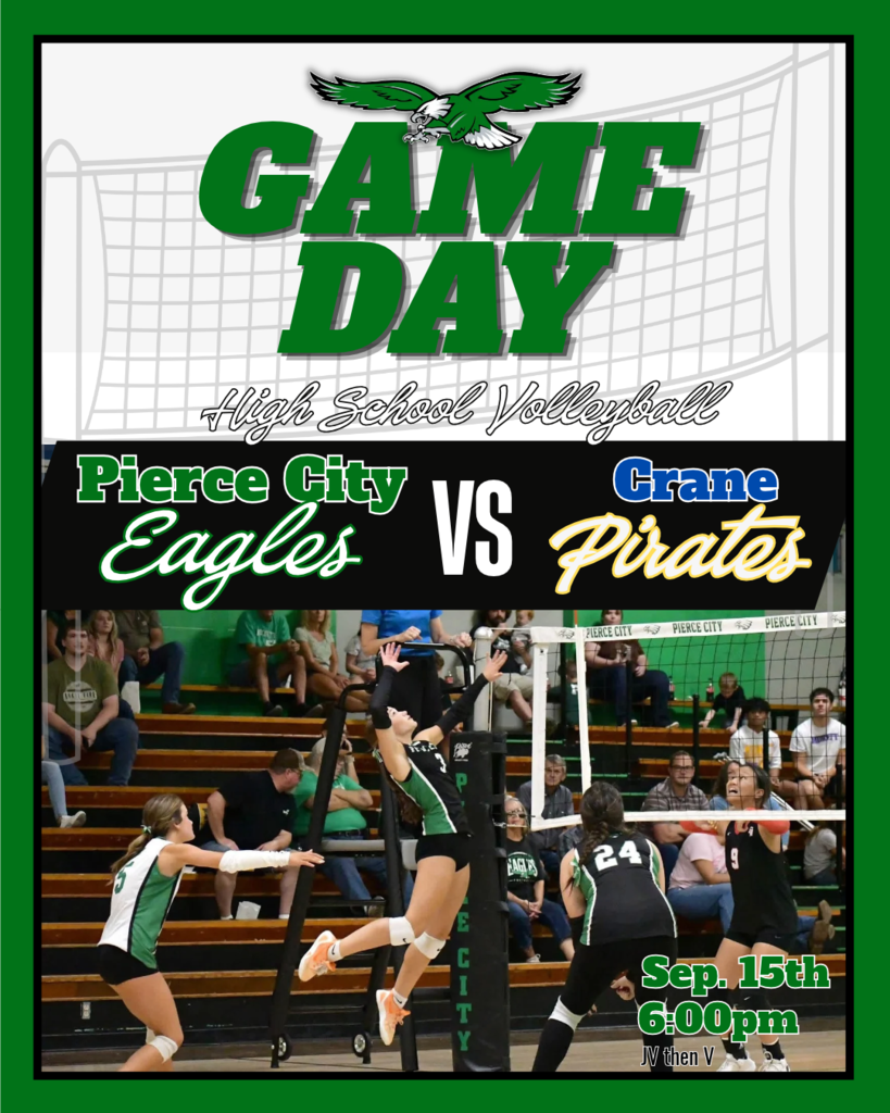volleyball graphic of player in air to hit ball