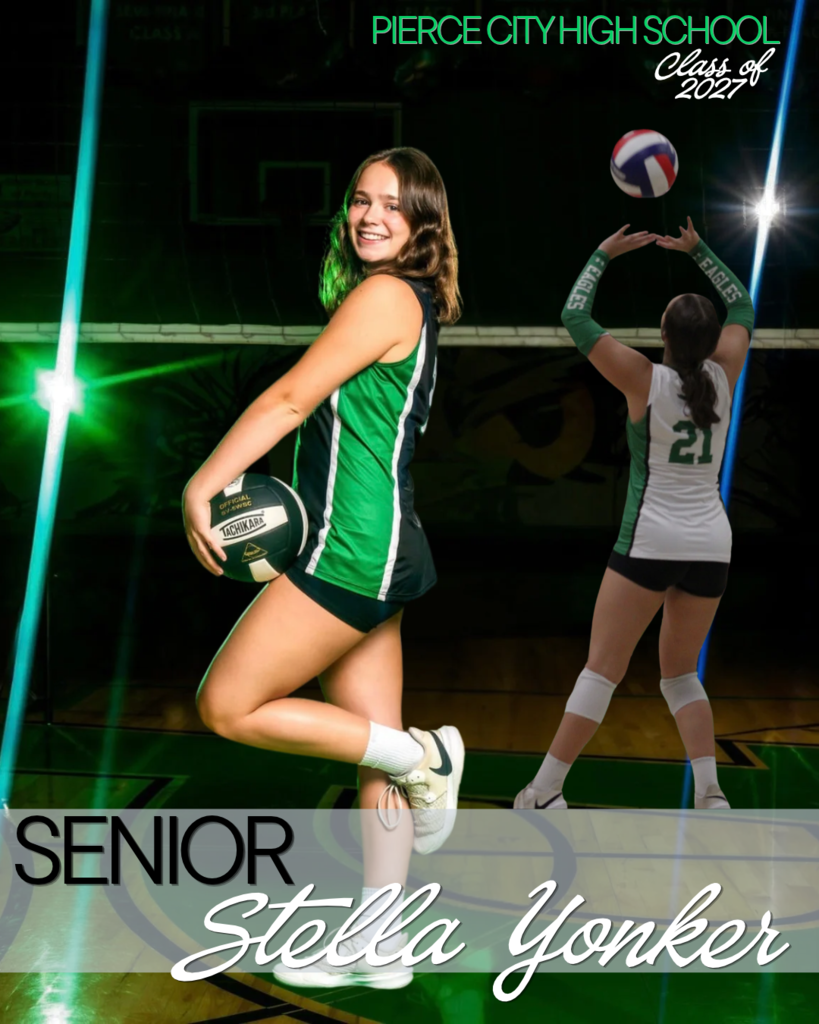 volleyball player