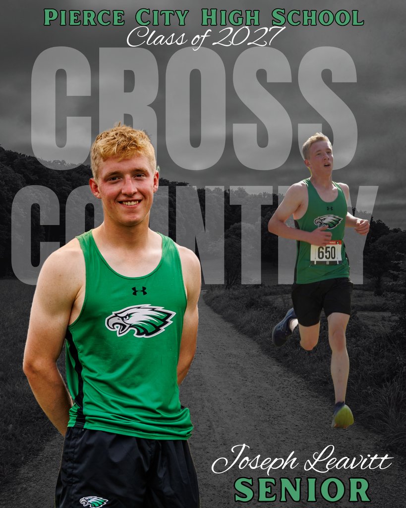 senior picture of cross country runner