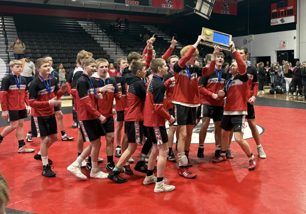 state wrestling team