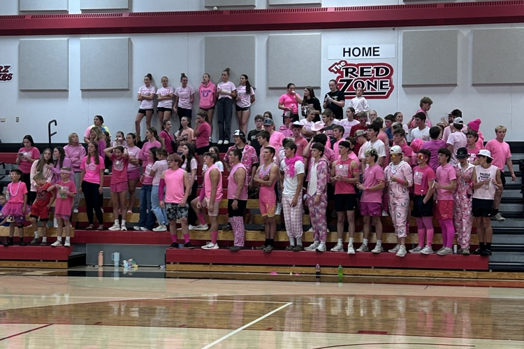 student section dressed in pink