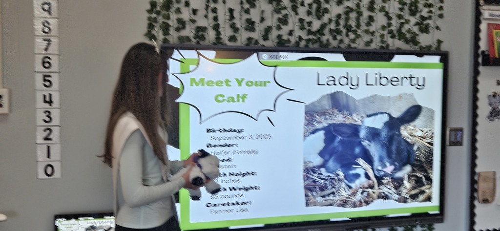 Dairy princess presenting to the class about the baby calf