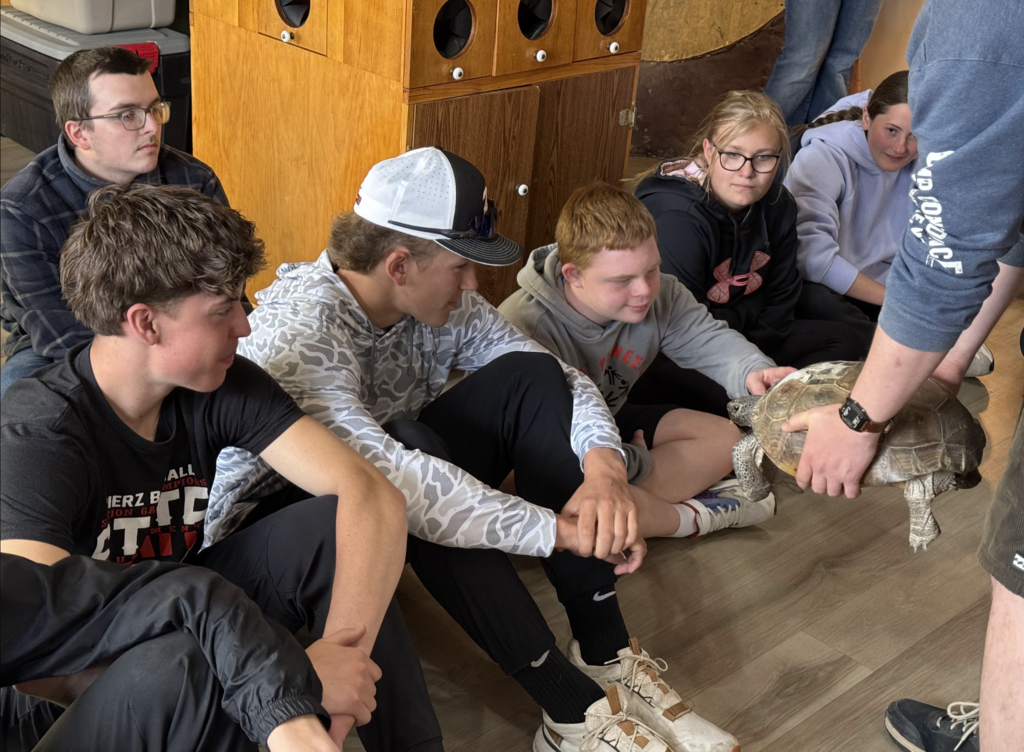 kids at camp confidence with a turtle