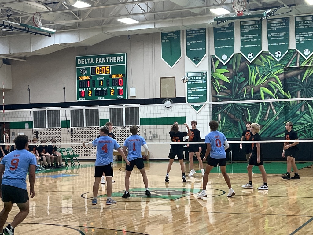 Volleyball Game