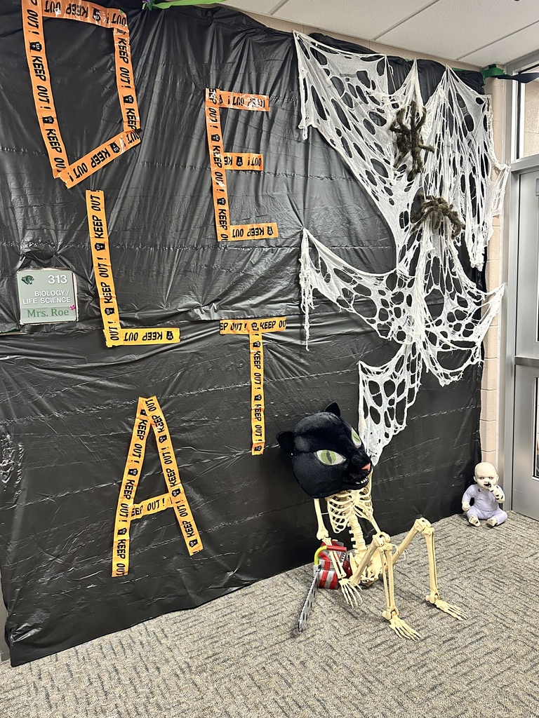 decorated hallways for homecoming
