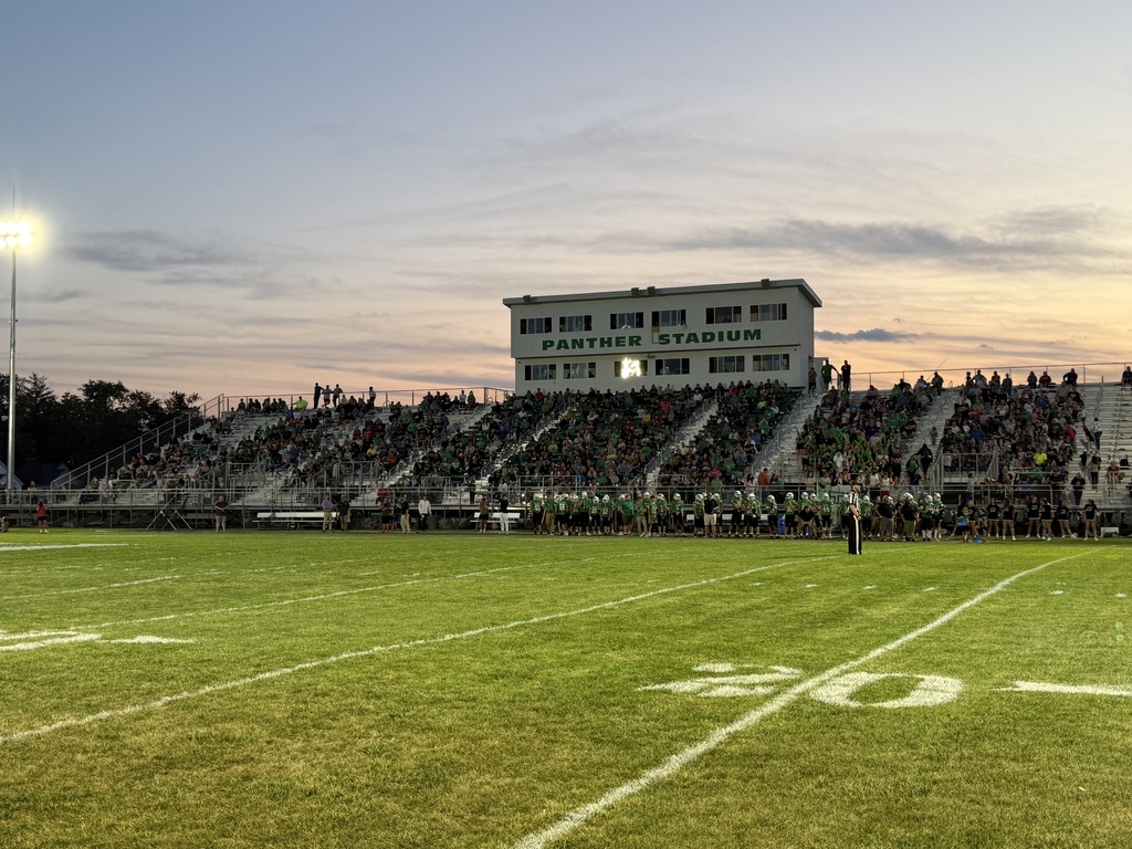 Fans in the football stadium