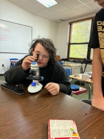 a student looking into a microscope