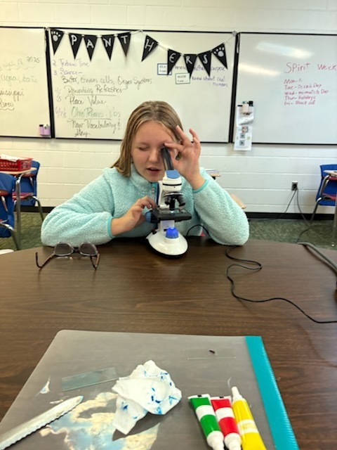 a student looking into a microscope