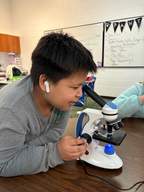 a student looking into a microscope