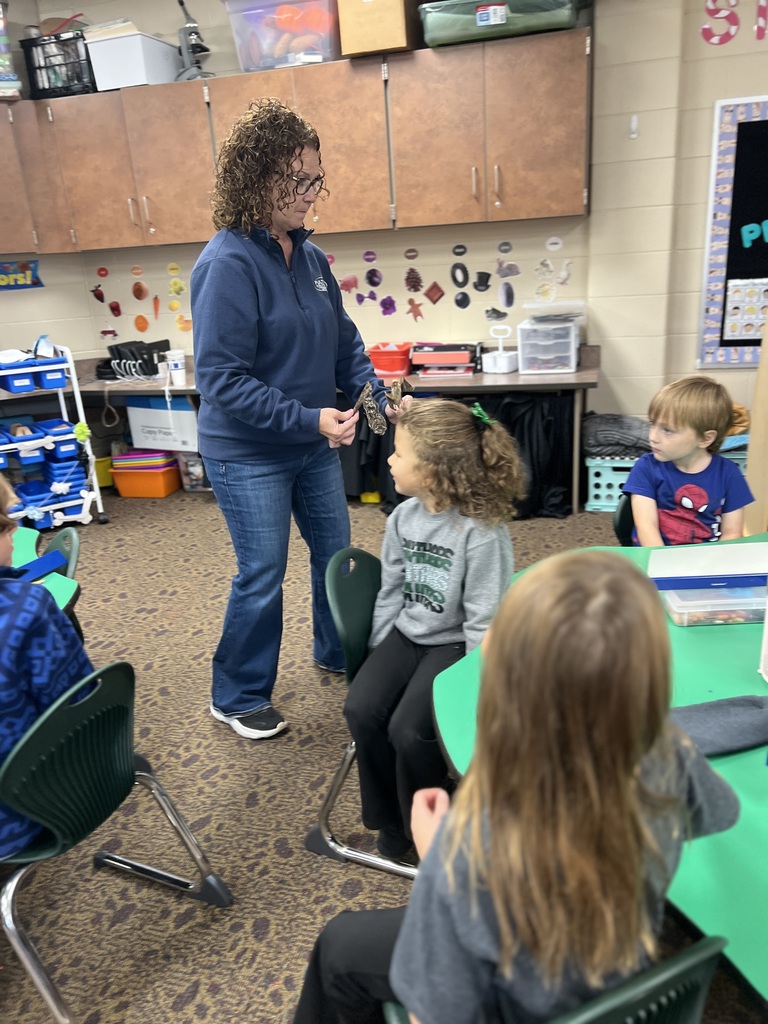 An adult walking around a classroom showing kindergartners a taxidermied bat
