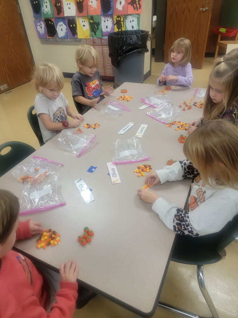 students working on counting and sorting