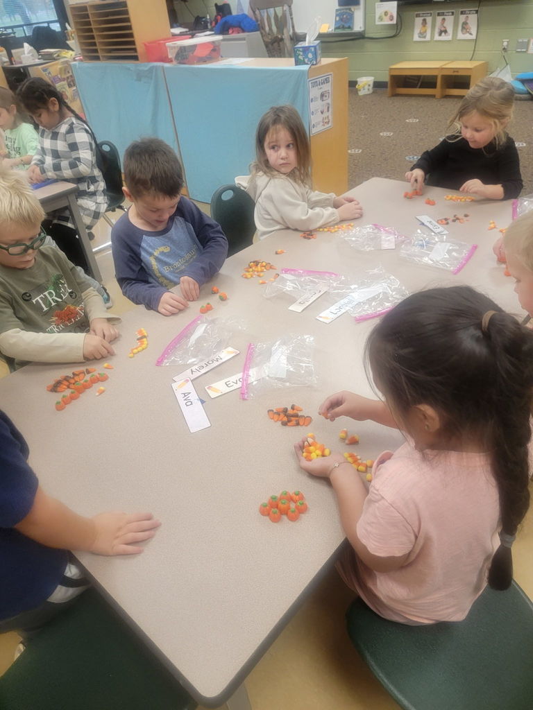 students working on counting and sorting