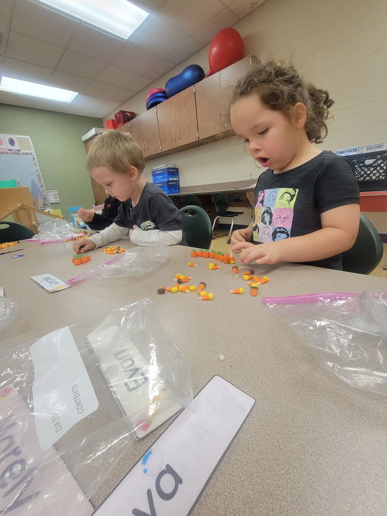 students working on counting and sorting