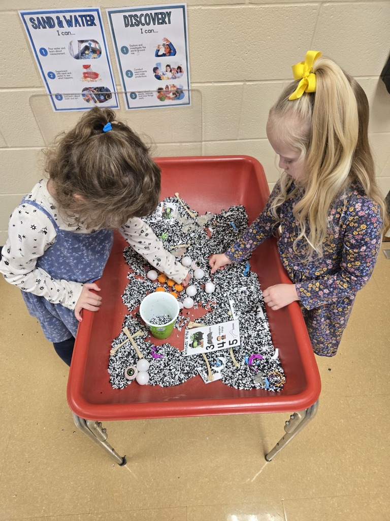 students working on counting and sorting