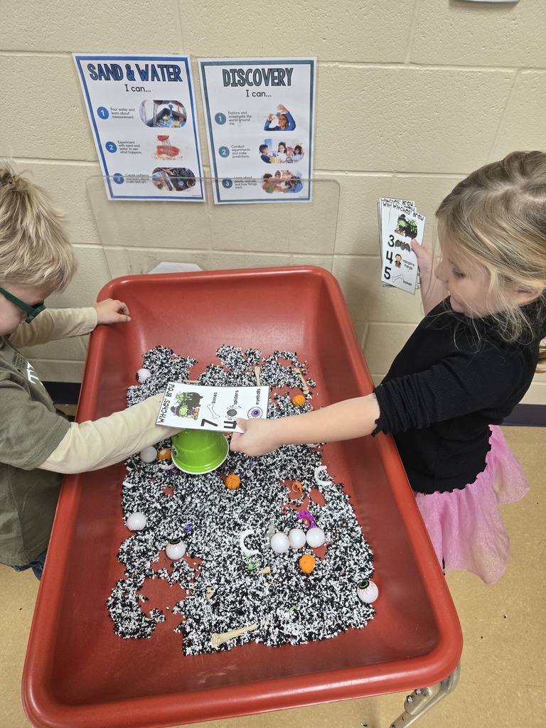 students working on counting and sorting