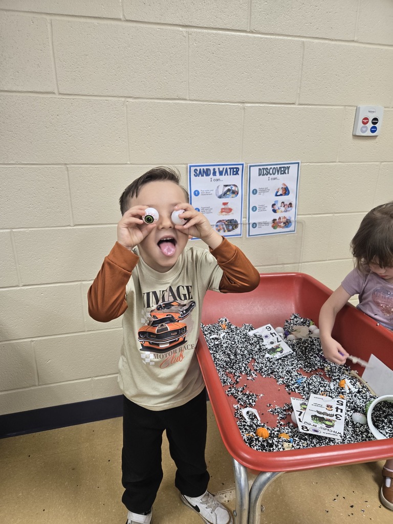 students working on counting and sorting