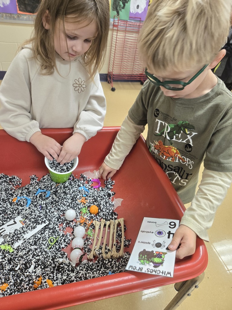 students working on counting and sorting