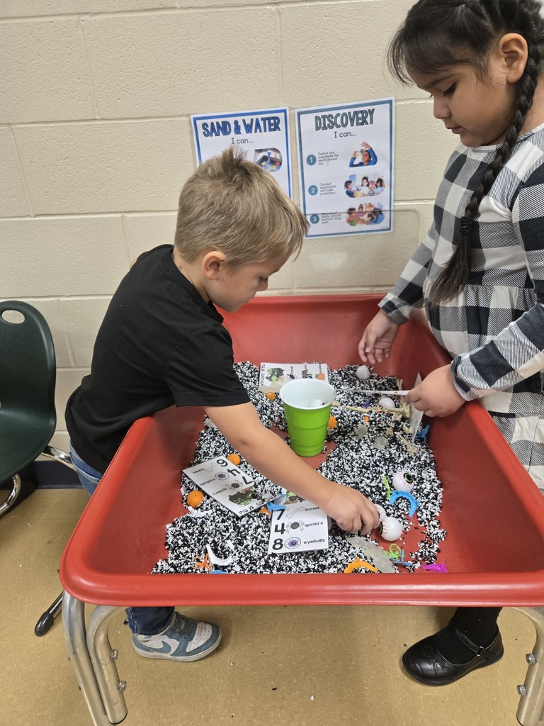 students working on counting and sorting
