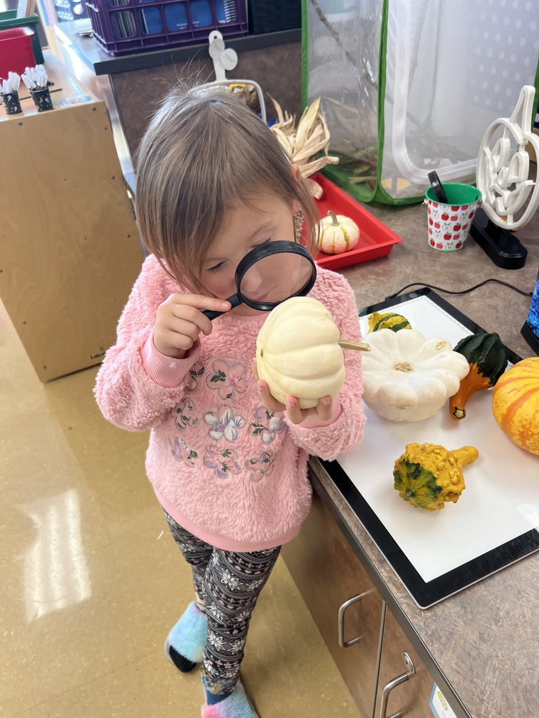 students carving pumpkins in a classroom