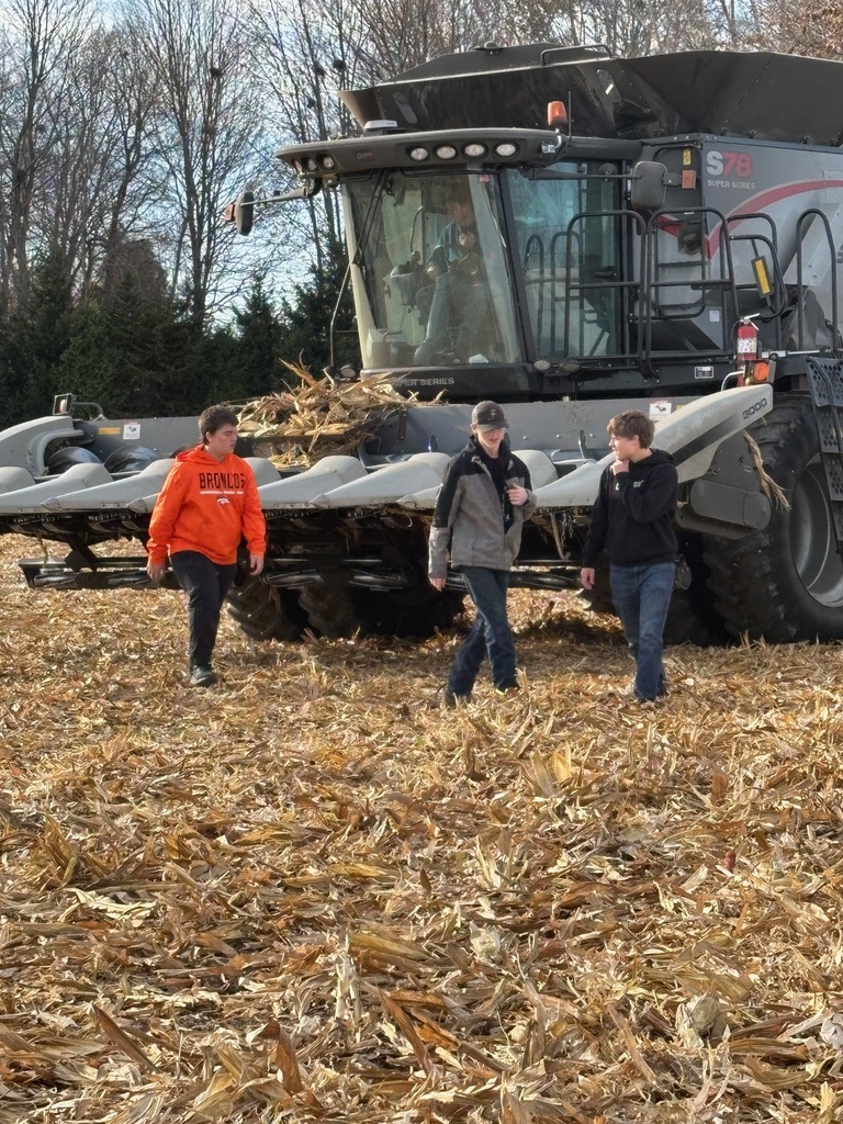 Students working in a field