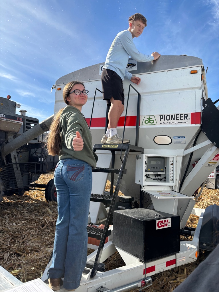 Students working in a field
