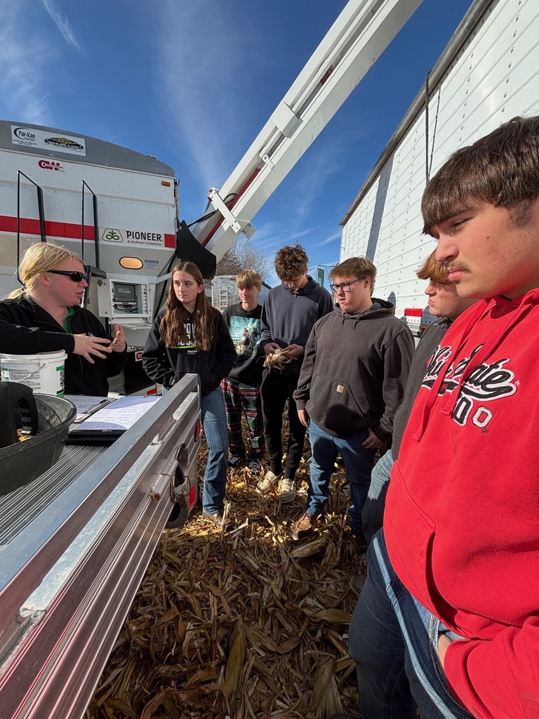 Students working in a field