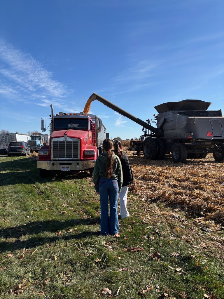Students working in a field