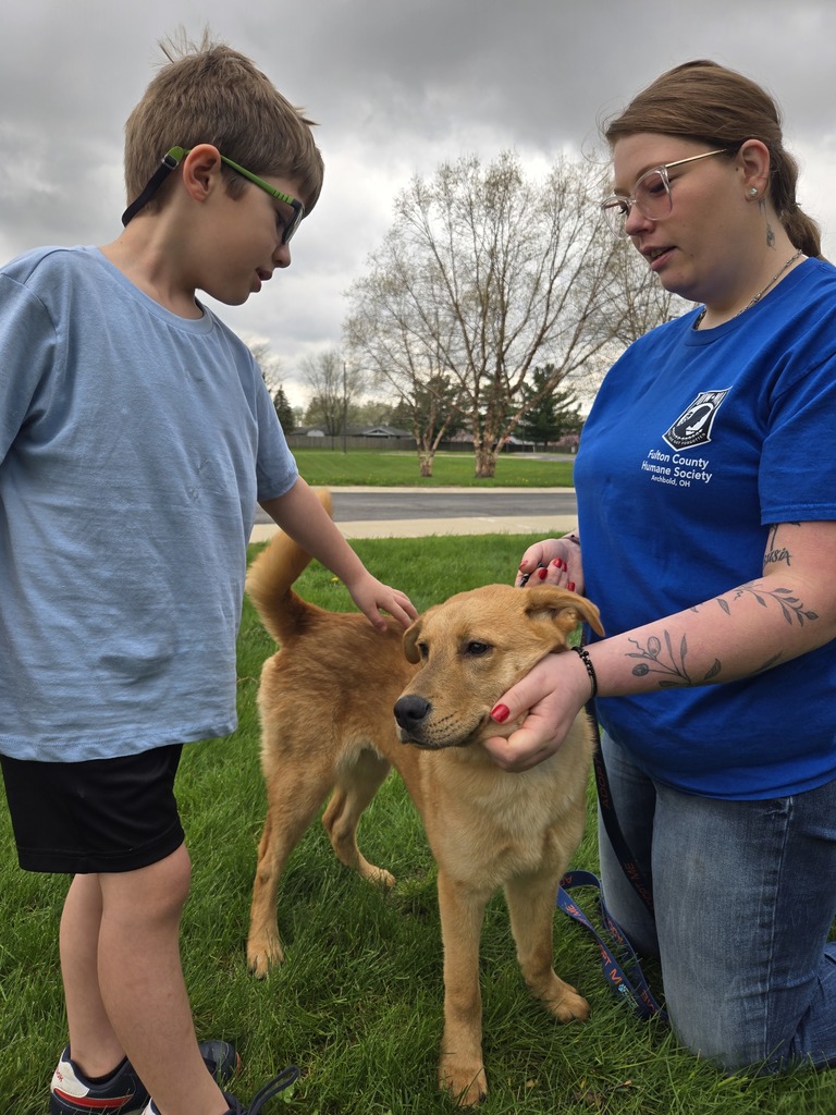 a student petting a dog