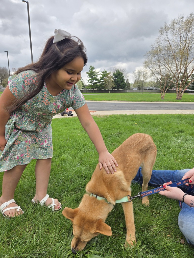 a student petting a dog